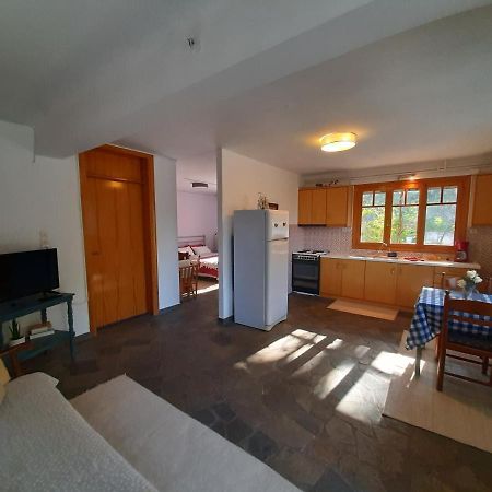 Apartament Σπίτι Σε Ελαιώνα, House In An Olive Grove Ária Zewnętrze zdjęcie