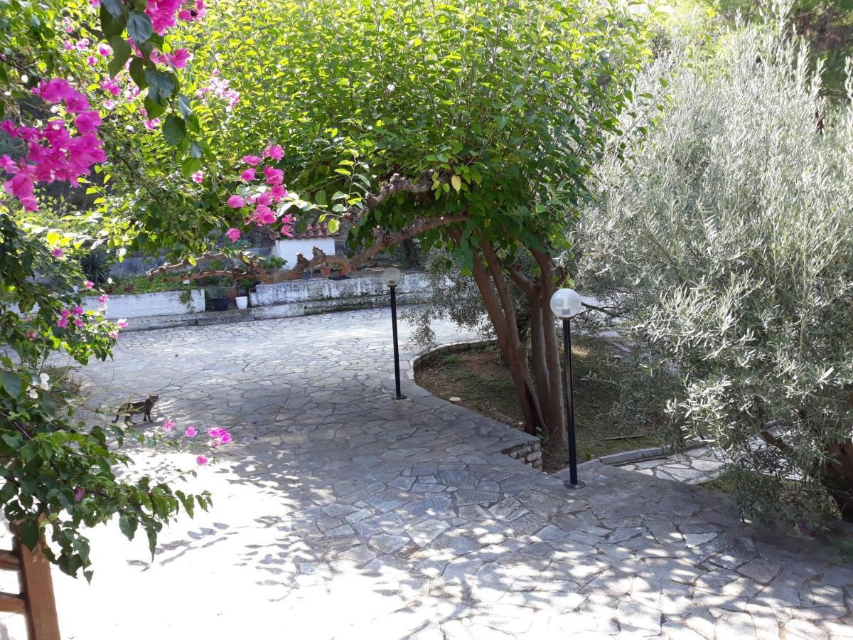 Apartament Σπίτι Σε Ελαιώνα, House In An Olive Grove Ária Zewnętrze zdjęcie