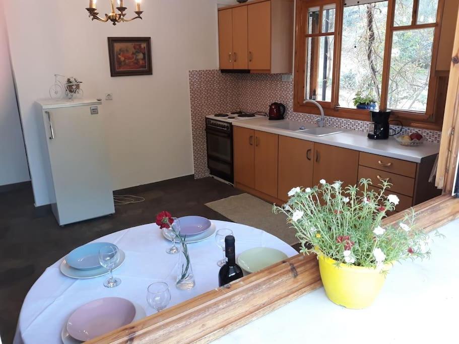 Apartament Σπίτι Σε Ελαιώνα, House In An Olive Grove Ária Zewnętrze zdjęcie
