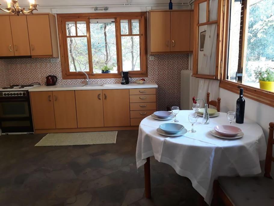 Apartament Σπίτι Σε Ελαιώνα, House In An Olive Grove Ária Zewnętrze zdjęcie
