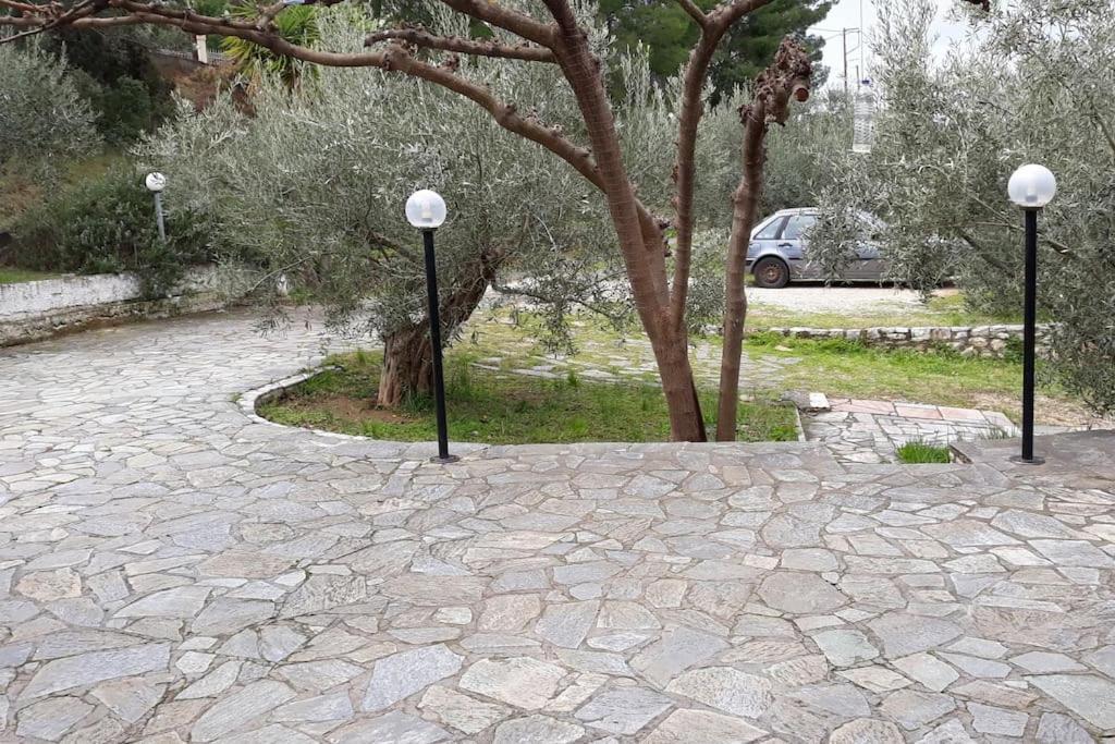 Apartament Σπίτι Σε Ελαιώνα, House In An Olive Grove Ária Zewnętrze zdjęcie