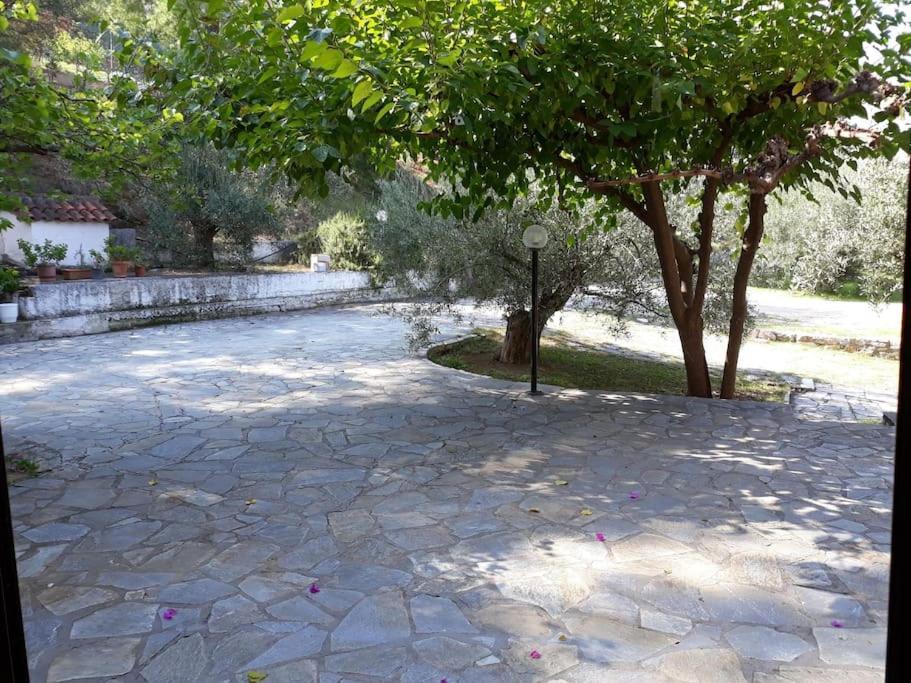 Apartament Σπίτι Σε Ελαιώνα, House In An Olive Grove Ária Zewnętrze zdjęcie