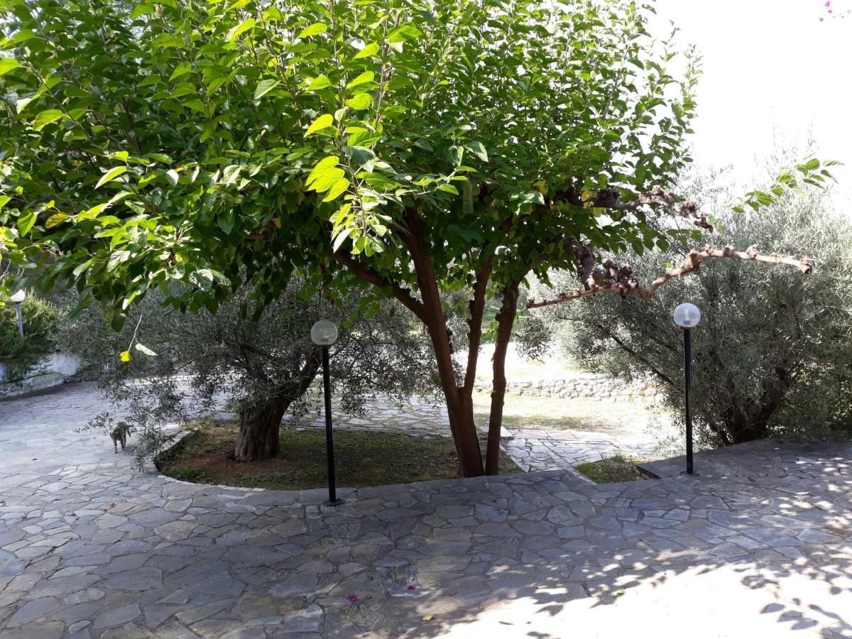 Apartament Σπίτι Σε Ελαιώνα, House In An Olive Grove Ária Zewnętrze zdjęcie